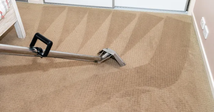 Technician using hot water extraction equipment to deep clean a carpet in a Leicester home