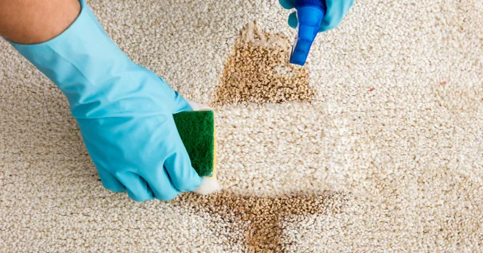 Close-up of a stubborn carpet stain being treated before deep cleaning