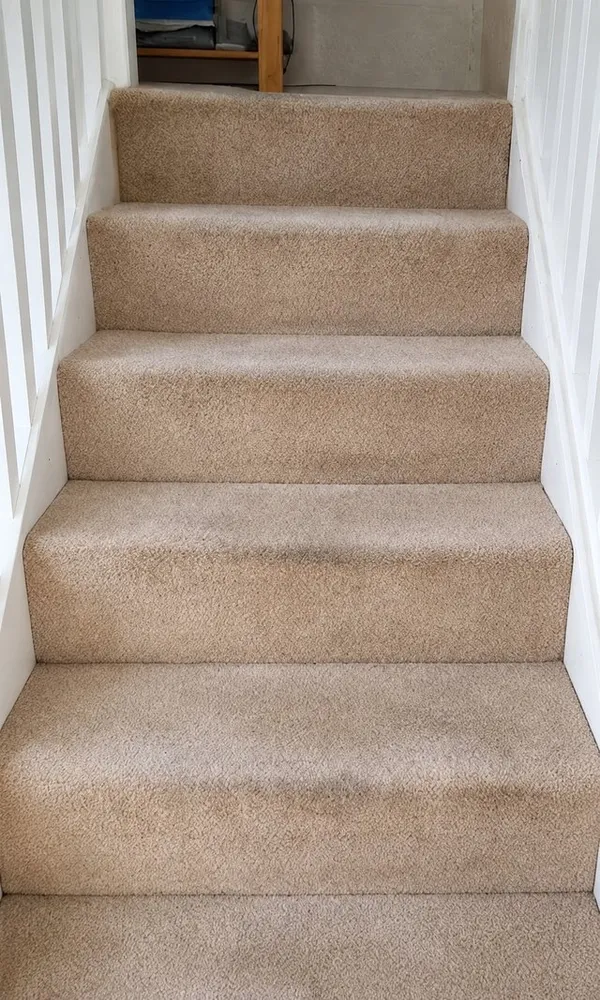 Stair carpet before and after professional deep cleaning, showing restored pile and colour