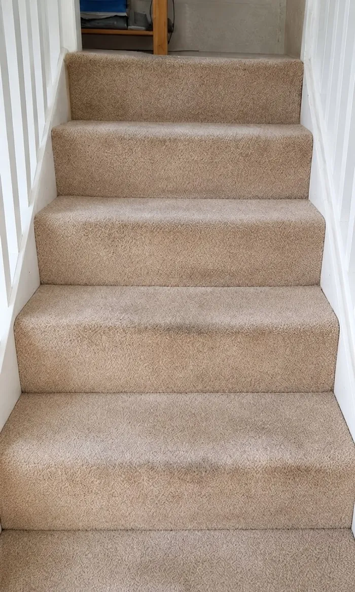 Stair carpet before and after professional deep cleaning, showing restored pile and colour
