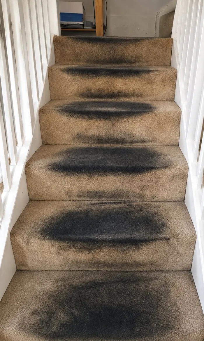 Stair carpet before cleaning, flattened and worn